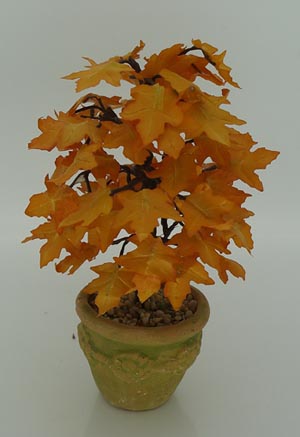 Autumnal Maple